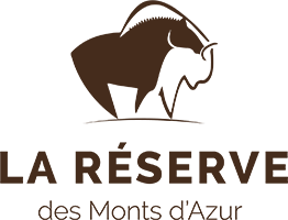 la-reserve-logo-2021-2
